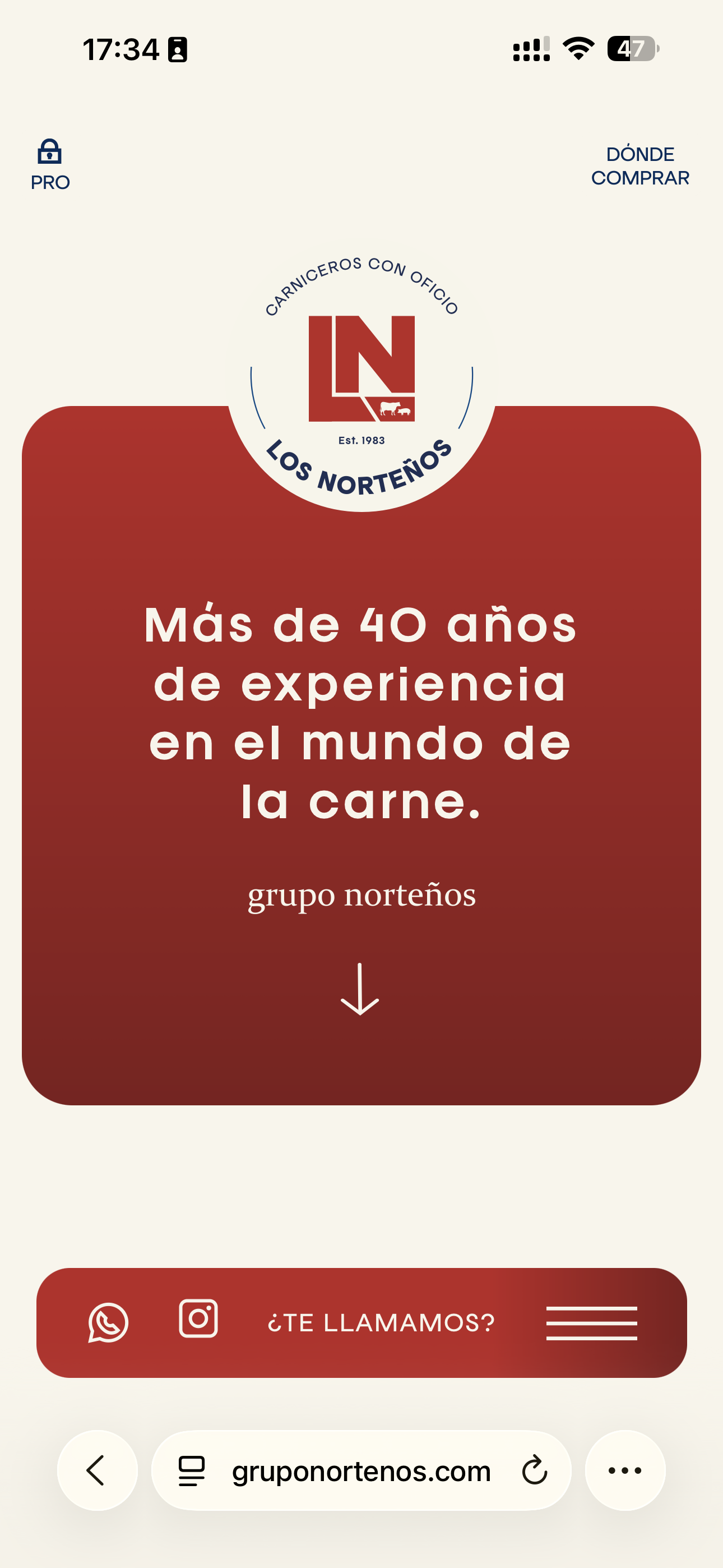 Web cliente 2